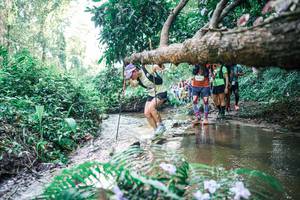 BIB: 
                            <button type="button" onclick="openModal(25464242)" class="btn btn-primary btn-sm float-right btn-popup" data-toggle="modal" data-target=".modal-high-quality">
                        <i class="fas fa-shopping-cart"></i> Add to Cart
                    </button>
                                            <button type="button" onclick="isThisMe(25464242, true)" class="btn btn-success btn-sm float-right btn-popup btn-isme hidden" data-toggle="tooltip" data-placement="bottom" title="นี่คือรูปของคุณใช่ไหม คลิกที่นี่เพื่อเอาเข้าอัลบั้ม">
                        <i class="fas fa-plus"></i> Add to album
                    </button>
                    <button type="button" onclick="isThisMe(25464242, false)" class="btn btn-warning btn-sm float-right btn-popup btn-isnotme hidden">
                        <i class="fas fa-ban"></i> Remove from album
                    </button>